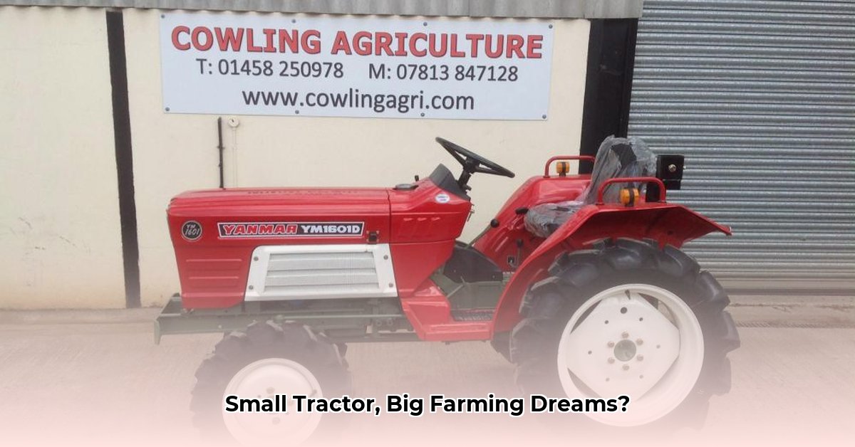 small-yanmar-tractor